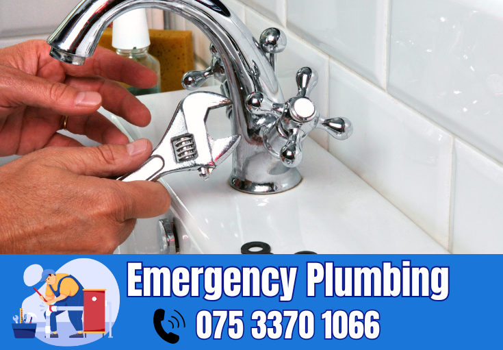 plumber Sandgate